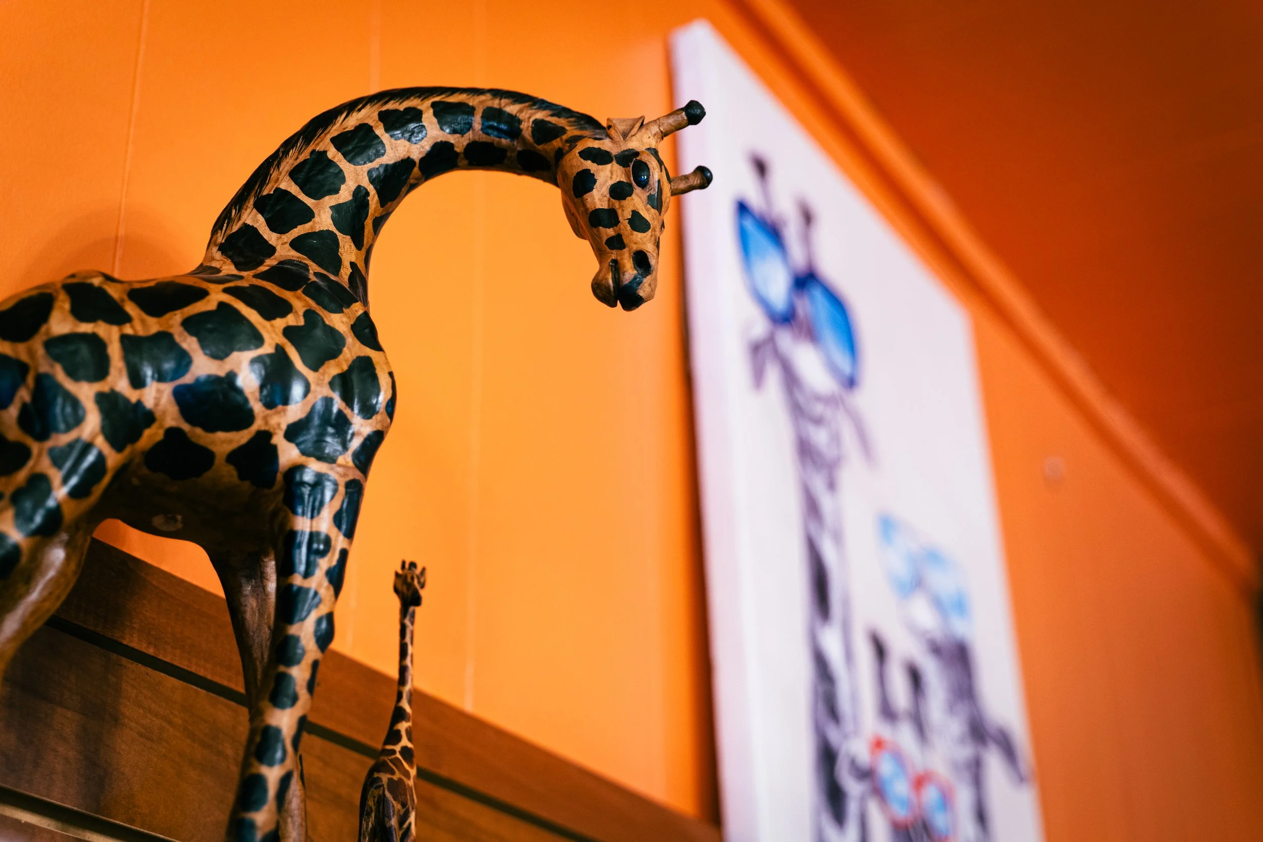 Cocoa Safari Chocolates | Madison, Indiana